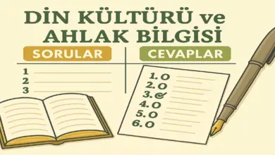 10. Sınıf Din Kültürü Ders Kitabı Sayfa 62 Cevapları Meb Yayınları