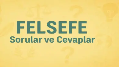 10. Sınıf Felsefe Ders Kitabı Sayfa 79-80 Cevapları Meb Yayınları