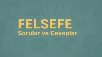 10. Sınıf Meb Felsefe Ders Kitabı Sayfa 83-85 Cevapları