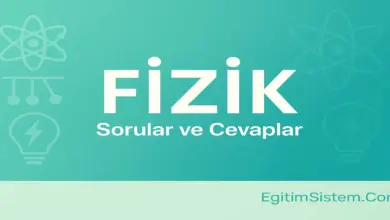 10. Sınıf Meb Fizik Ders Kitabı Sayfa 108 Cevapları