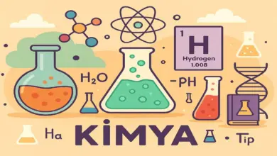 10. Sınıf Kimya Ders Kitabı Sayfa 106 Cevapları Meb Yayınları