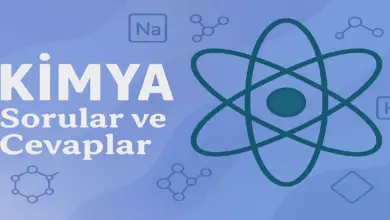10. Sınıf Kimya Ders Kitabı Sayfa 111-112 Cevapları Meb Yayınları