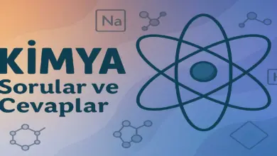 10. Sınıf Meb Kimya Ders Kitabı Sayfa 84 Cevapları