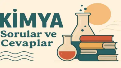 10. Sınıf Meb Kimya Ders Kitabı Sayfa 85-88 Cevapları