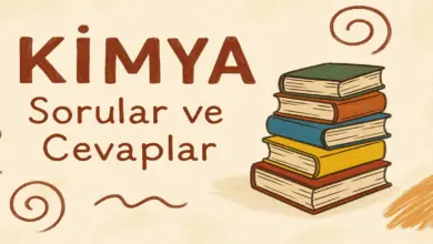 10. Sınıf Meb Kimya Ders Kitabı Sayfa 97 Cevapları