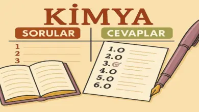 10. Sınıf Kimya Ders Kitabı Sayfa 116-147 Cevapları Meb Yayınları