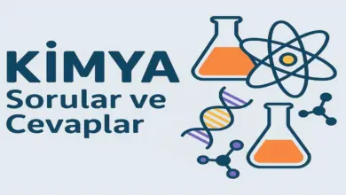10. Sınıf Kimya Ders Kitabı Sayfa 84 Cevapları Meb Yayınları