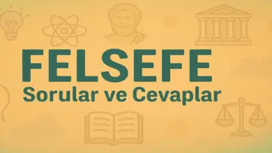 10. Sınıf Meb Felsefe Ders Kitabı Sayfa 71-72 Cevapları
