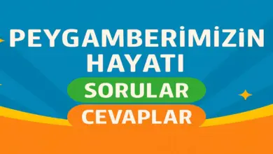 10. Sınıf Peygamberimizin Hayatı Ders Kitabı Sayfa 57 Cevapları Meb Yayınları