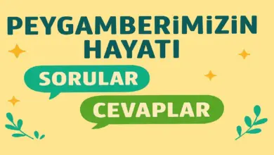 10. Sınıf Peygamberimizin Hayatı Ders Kitabı Sayfa 58 Cevapları Meb Yayınları