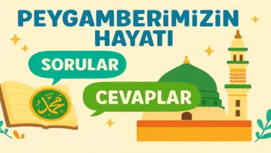 10. Sınıf Peygamberimizin Hayatı Ders Kitabı Sayfa 66-71 Cevapları Meb Yayınları
