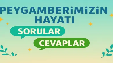10. Sınıf Meb Peygamberimizin Hayatı Ders Kitabı Sayfa 57 Cevapları