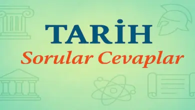 10. Sınıf Meb Tarih Ders Kitabı Sayfa 110-113 Cevapları