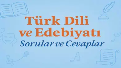 10. Sınıf Edebiyat Ders Kitabı Sayfa 102-104 Cevapları Meb Yayınları