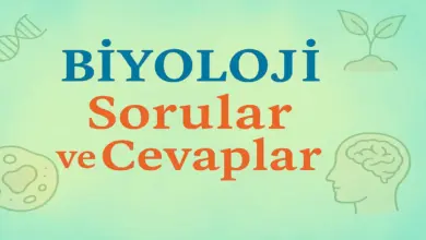 11. Sınıf Biyloji Ders Kitabı Sayfa 110 Cevapları Tutku Yayıncılık