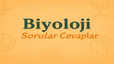 11. Sınıf Biyloji Ders Kitabı Sayfa 63 Cevapları Tutku Yayıncılık