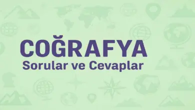 11. Sınıf Coğrafya Ders Kitabı Sayfa 80 Cevapları Yıldırım Yayınları