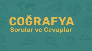 11. Sınıf Coğrafya Ders Kitabı Sayfa 84 Cevapları Yıldırım Yayınları