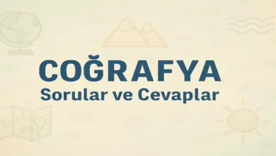 12. Sınıf Yıldırım Coğrafya Ders Kitabı Sayfa 96 Cevapları
