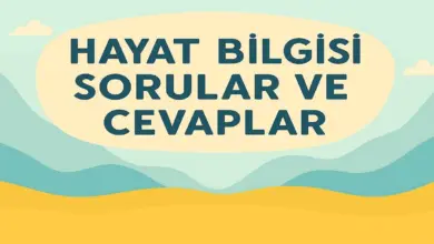 2. Sınıf Meb Hayat Bilgisi 1. Ders Kitabı Sayfa 74-77 Cevapları