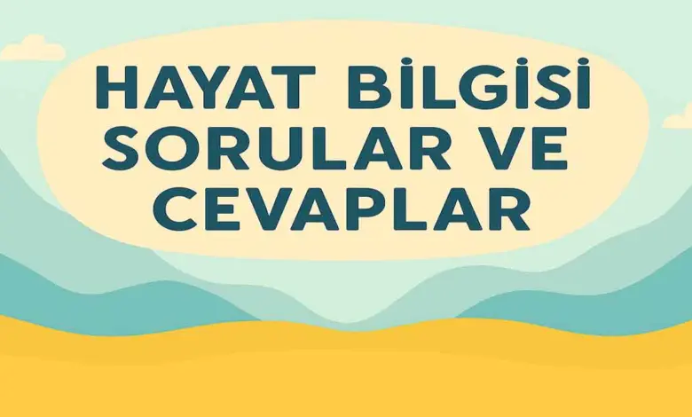 2. Sınıf Meb Hayat Bilgisi 1. Ders Kitabı Sayfa 74-77 Cevapları