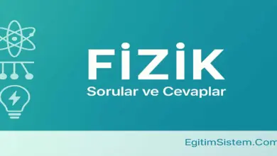 10. Sınıf Meb Fizik Ders Kitabı Sayfa 113-114 Cevapları