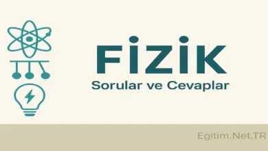 10. Sınıf Fizik Ders Kitabı Sayfa 123-124 Cevapları Meb Yayınları