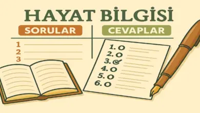 2. Sınıf Hayat Bilgisi 1. Ders Kitabı Sayfa 74-77 Cevapları Meb Yayınları