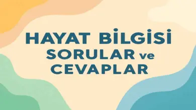 2. Sınıf Hayat Bilgisi 1. Ders Kitabı Sayfa 60-67 Cevapları Meb Yayınları