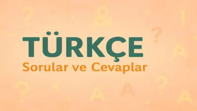2. Tema: Atatürk ve Çocuk Ön Değerlendirme Çalışması Cevapları (2. Sınıf Türkçe)