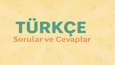 Çanakkale Metni Etkinlik Cevapları (2. Sınıf Türkçe)