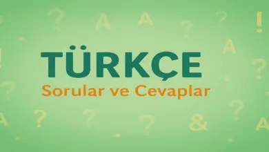 2. Tema Atatürk ve Çocuk Kendimizi Değerlendirelim Cevapları (2. Sınıf Türkçe)