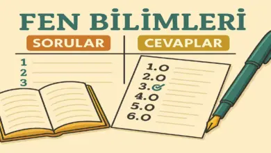 3. Sınıf Fen Bilimleri Ders Kitabı Sayfa 86-89 Cevapları Meb Yayınları