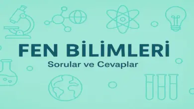 3. Sınıf Cem Fen Bilimleri Ders Kitabı Sayfa 45-54 Cevapları
