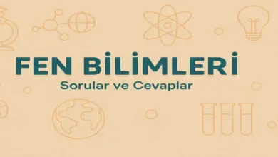 3. Sınıf Fen Bilimleri Ders Kitabı Sayfa 45-54 Cevapları CEM Yayıncılık