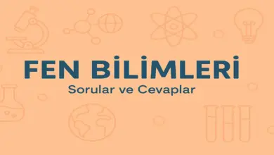 3. Sınıf Fen Bilimleri Ders Kitabı Sayfa 44-47 Cevapları Meb Yayınları
