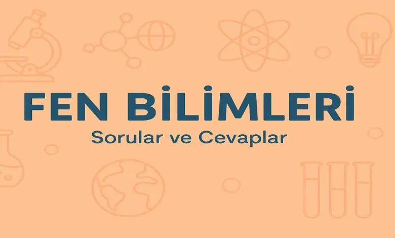 3. Sınıf Fen Bilimleri Ders Kitabı Sayfa 44-47 Cevapları Meb Yayınları