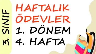 Soner Hoca