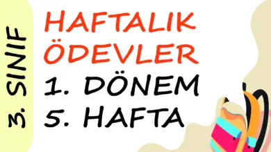 Soner Hoca