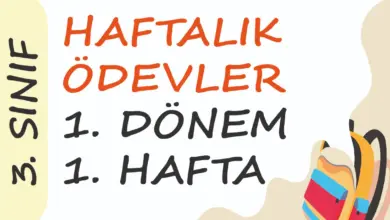 Soner Hoca