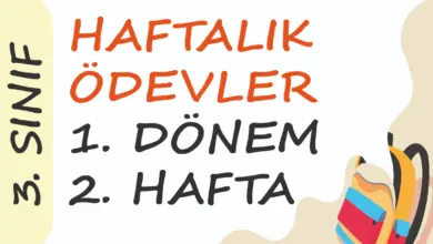 Soner Hoca