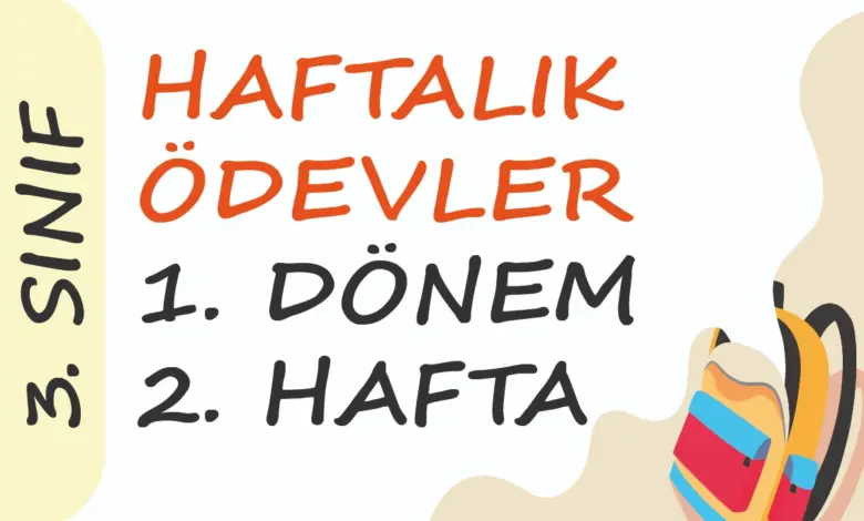 Soner Hoca