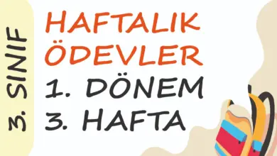 Soner Hoca