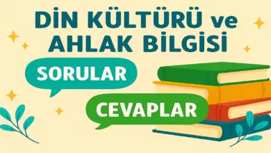 4. Sınıf SDRİpekyolu Din Kültürü Ders Kitabı Sayfa 37 Cevapları