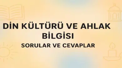 4. Sınıf SDRİpekyolu Din Kültürü Ders Kitabı Sayfa 38-45 Cevapları