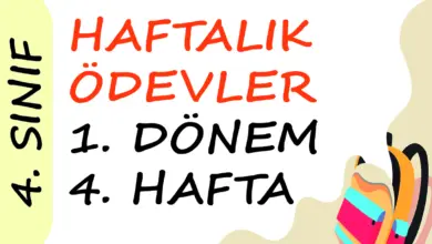 Soner Hoca