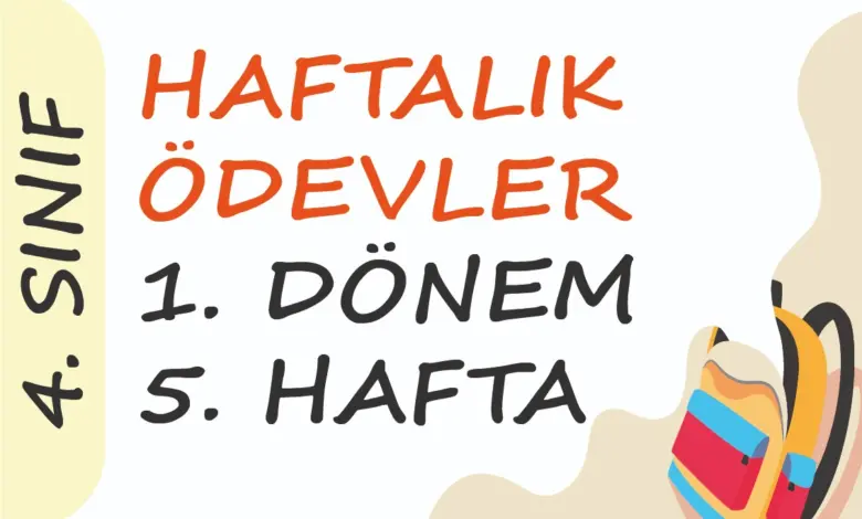 Soner Hoca