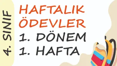 Soner Hoca