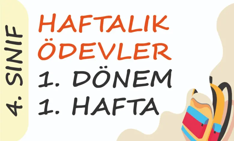 Soner Hoca