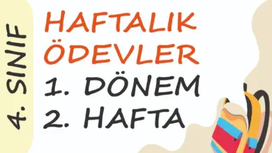 Soner Hoca